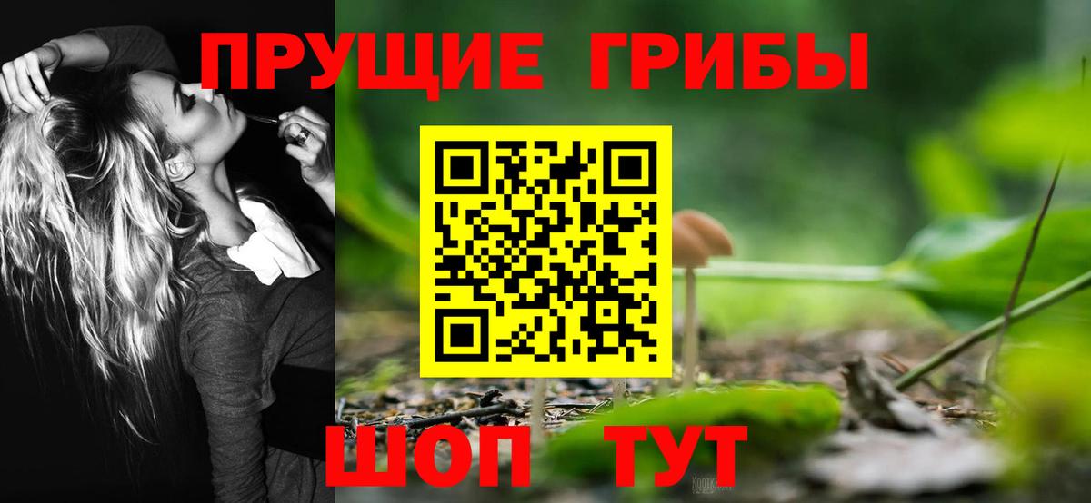 Пугачёв  Псилоцибиновые грибы ЛСД  Вход с VPN 