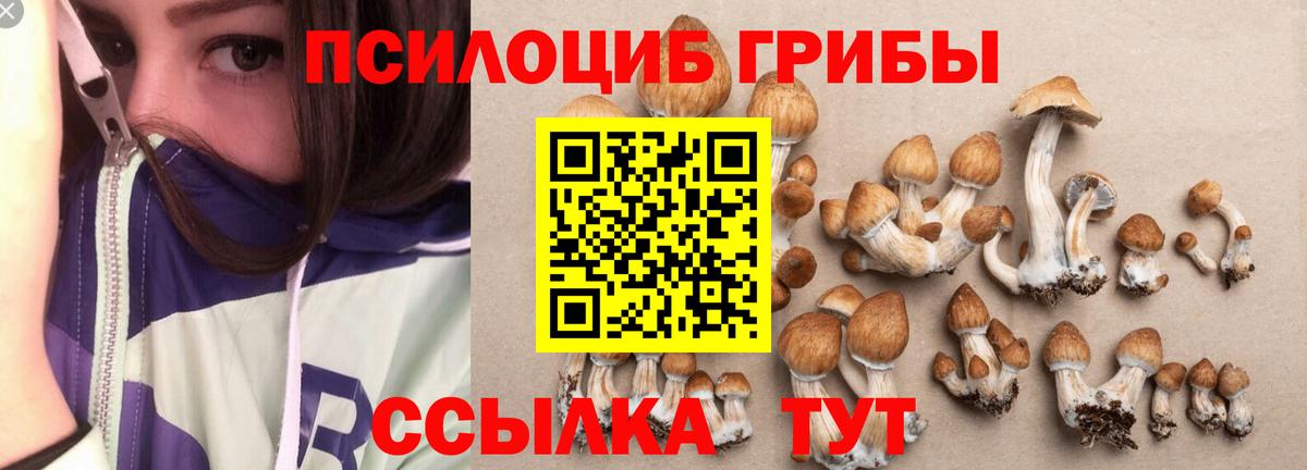 Псилоцибиновые грибы прущие грибы Пугачёв